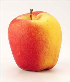 Ambrosia (apple) Ambrosia Apple