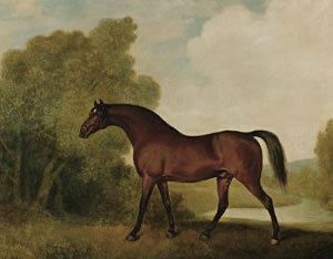 Ambrosio (horse)