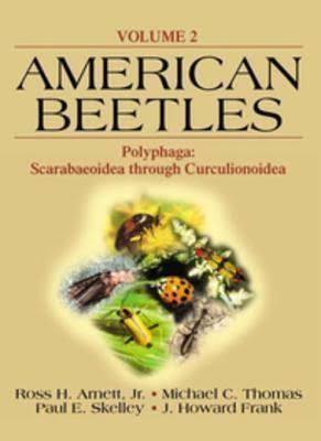 American Beetles t1gstaticcomimagesqtbnANd9GcQ3IdIbe6pDeVCJWt