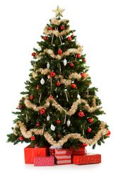 American Christmas Tree Association ww1prwebcomprfiles20091204909724gI0Artif