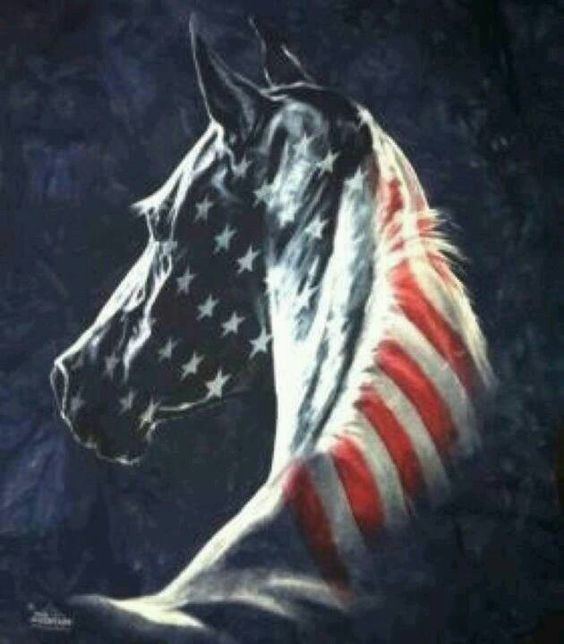 American Flag (horse) American flag horse Things for My Wall Pinterest American flag