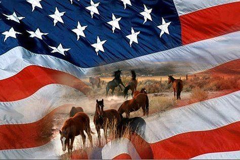 American Flag (horse) 1000 images about Patriotic on Pinterest