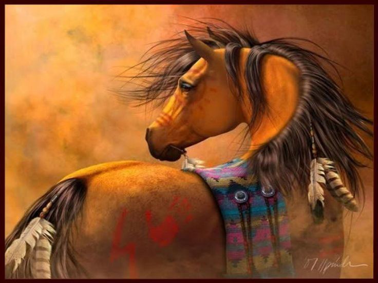 American Indian Horse 1000 images about native American horses on Pinterest Indian