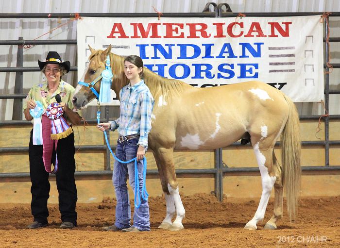 American Indian Horse AIHR
