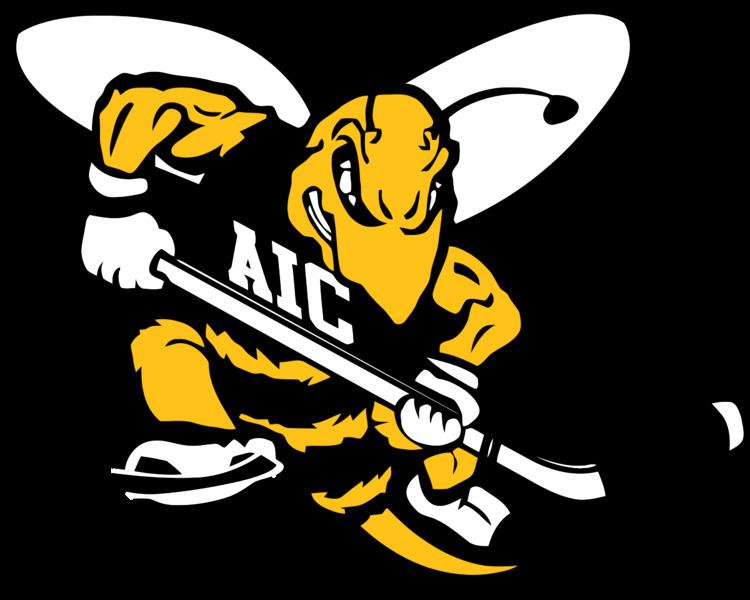 American International Yellow Jackets men's ice hockey httpsuploadwikimediaorgwikipediaenthumb6