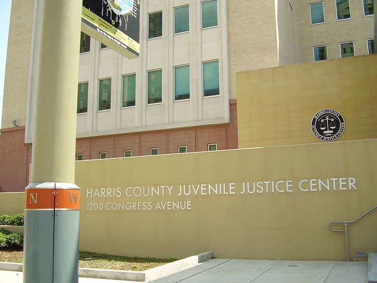 American juvenile justice system