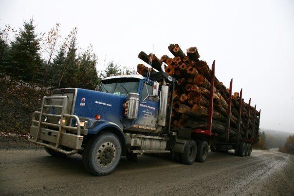 American Loggers Maine Logging Company Logging Company In Maine Pelletier
