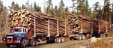 American Loggers Maine Logging Company Logging Company In Maine Pelletier