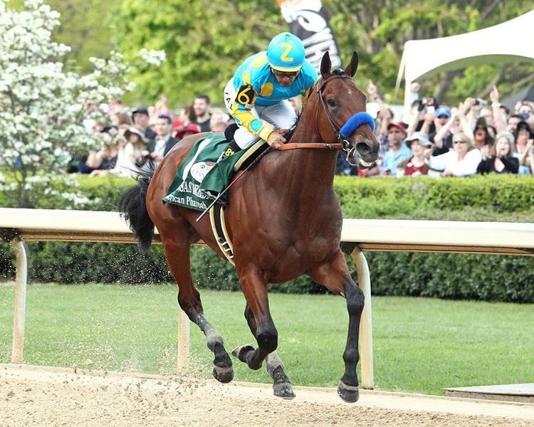 American Pharoah American Pharoah Zayat Racing Stables