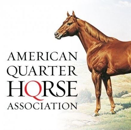 American Quarter Horse Association httpslh3googleusercontentcomzngk29wVfIYAAA