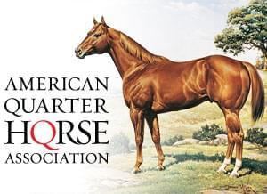 American Quarter Horse AQHA Home