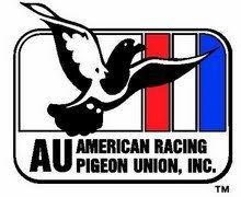 American Racing Pigeon Union pigeonracingpigeonsfileswordpresscom200911am