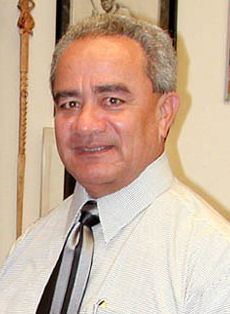 American Samoa gubernatorial election, 2008