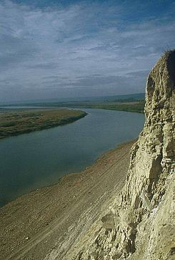 Amga River httpsuploadwikimediaorgwikipediacommonsthu