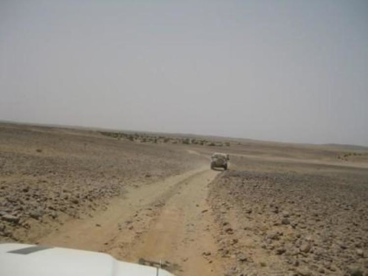 Amgala Castlebar County Mayo Western Sahara Close to Six Weeks