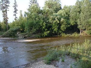 Amgun River httpsuploadwikimediaorgwikipediacommonsthu