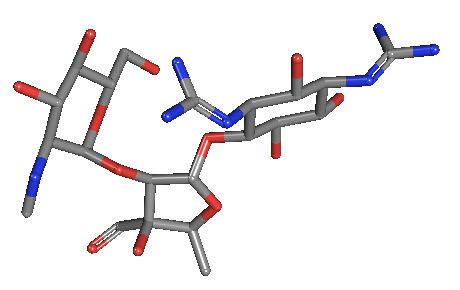 Aminoglycoside