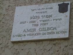 Amir Gilboa Amir Gilboa Wikipedia