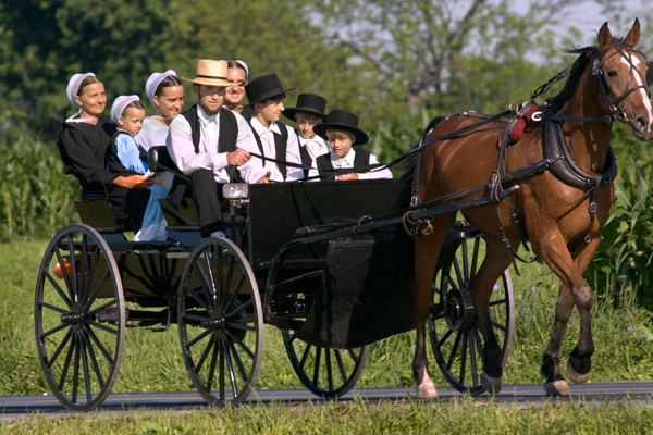 Amish The Amish Keep These Details Hidden For A Good Reason Activly