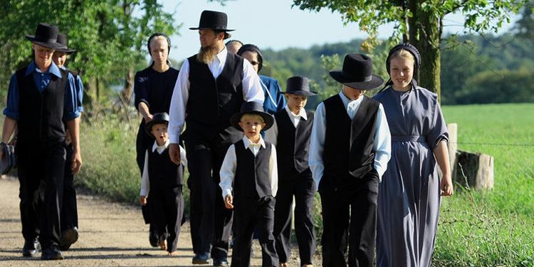 Amish Aaron and Jessica39s Buggy Rides Visit Amish Country