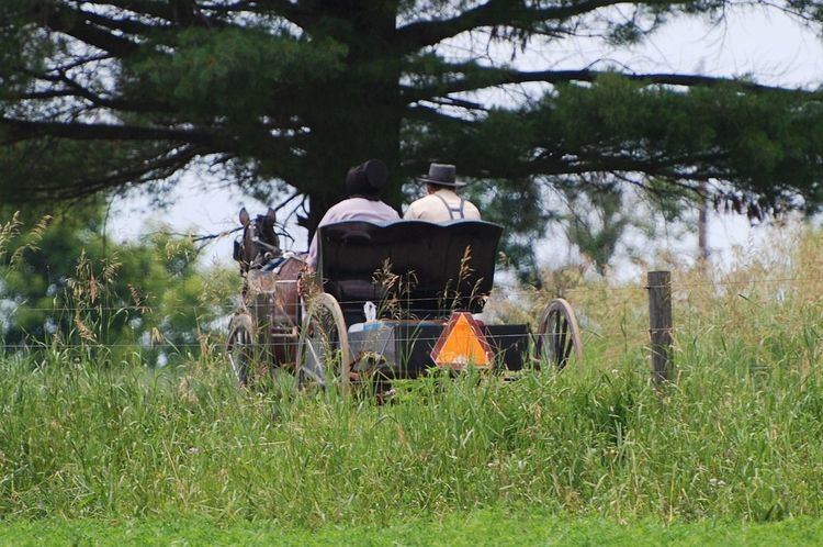 Amish life in the modern world