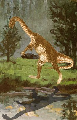 Ammosaurus Ammosaurus Dinosaur Facts Information Dinosaurs Extinction