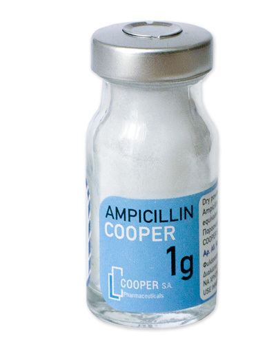 Ampicillin Products AMPICILLINCOOPER Dry powder for injection 1GVIAL