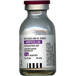 Ampicillin Ampicillin Sodium 2gm 20ml at HeartlandVetSupplycom