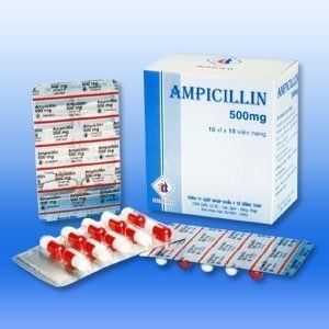 Ampicillin Ampicillin 500 mg Reviews Effective Antibiotic That is Readily