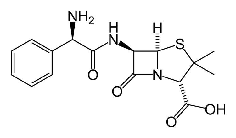 Ampicillin Ampicillinsulbactam Wikipedia