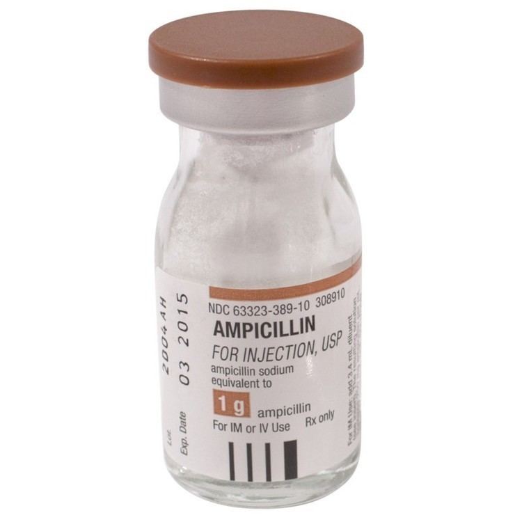 Ampicillin ACE Surgical Supply Co Inc Ampicillin Sodium 1gm Vial