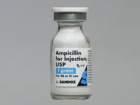 Ampicillin ampicillin injection Uses Side Effects Interactions Pictures