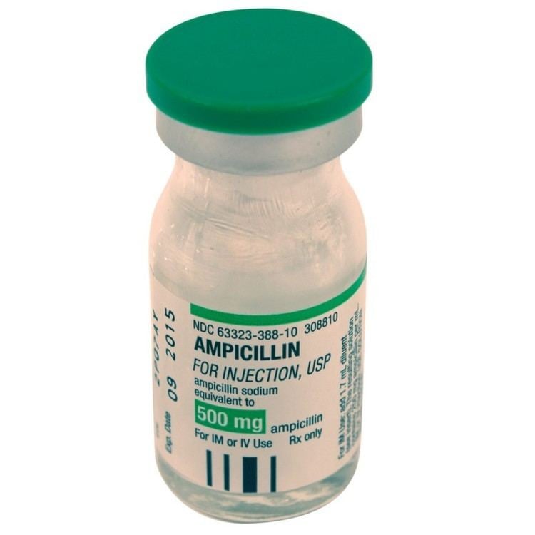Ampicillin ACE Surgical Supply Co Inc Ampicillin 500mg