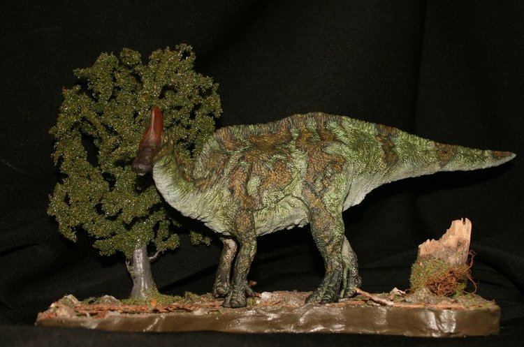 Amurosaurus Amurosaurus riabinini by Maastriht123 on DeviantArt