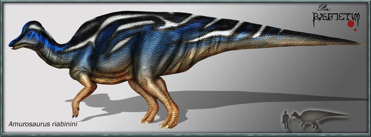 Amurosaurus Amurosaurus riabinini