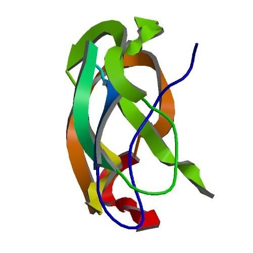 Amyloid precursor protein
