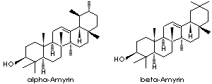Amyrin betaAMYRIN
