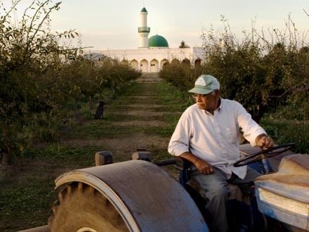 An American Mosque (film) DER Documentary An American Mosque