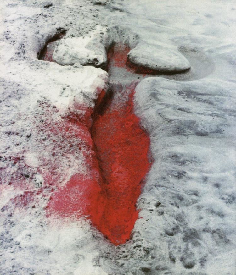 Ana Mendieta Visionary works of Ana Mendieta transpersonalspirit