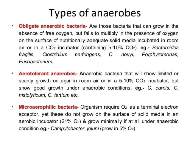 Anaerobic organism Anaerobic bacteria