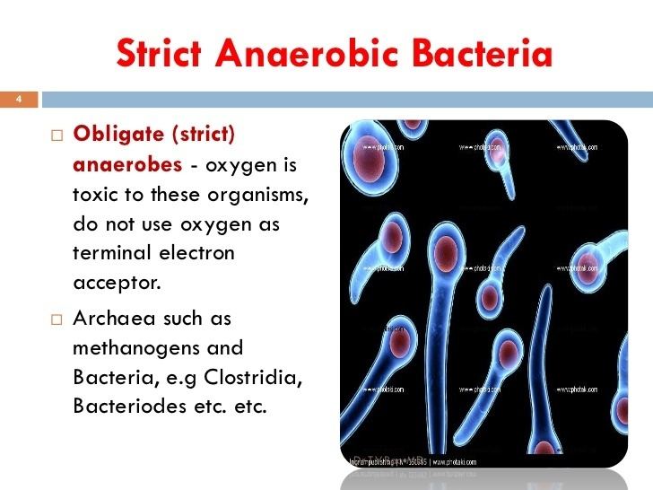 Anaerobic organism Anaerobic culture methods