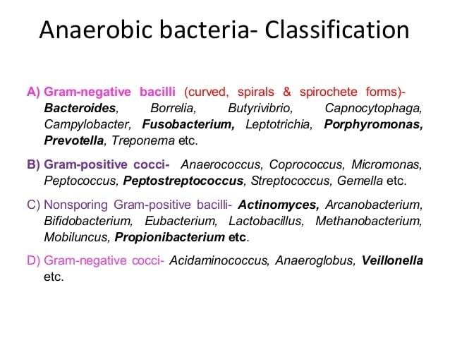 Anaerobic organism Anaerobic bacteria