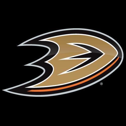 Anaheim Ducks httpslh4googleusercontentcomBTHgU6ccP1sAAA