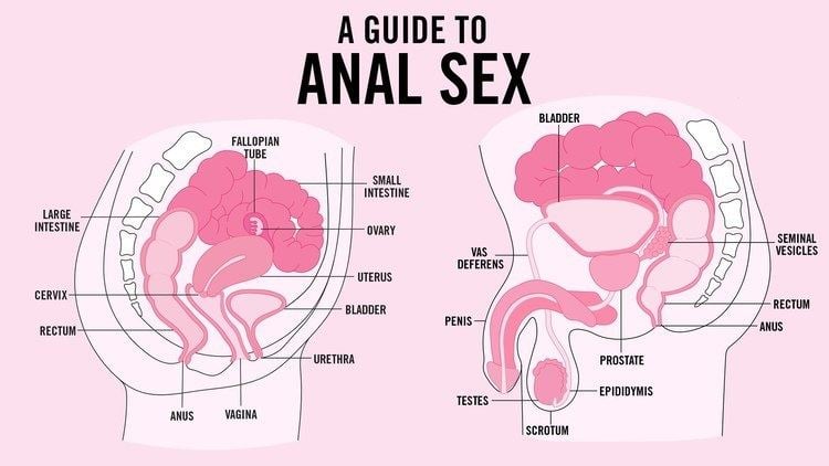 Guide to Anal sex
