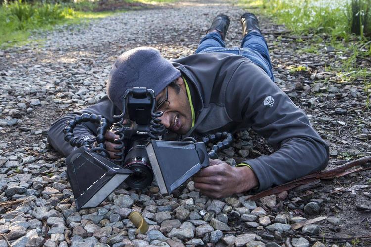 Anand Varma Photographer Keeps Bees to Document First 21 Days of Their