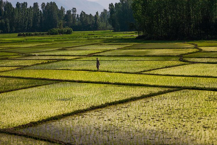 Anantnag Beautiful Landscapes of Anantnag