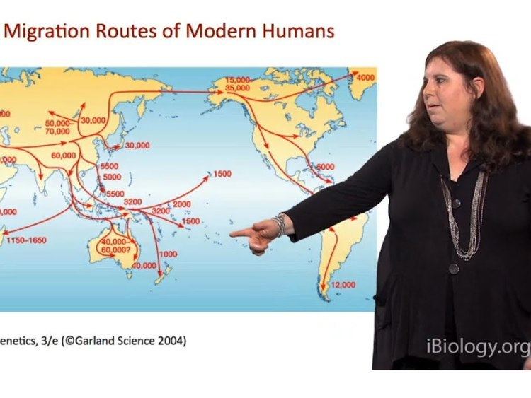 Anatomically modern human Anatomically Modern Humans Sarah Tishkoff U Pennsylvania YouTube