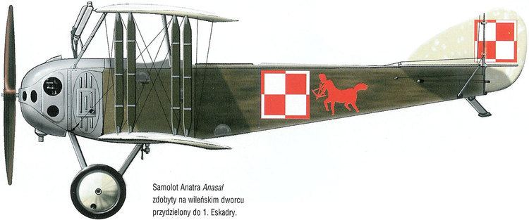 Anatra DS WINGS PALETTE Anatra AnadeAnasal Poland