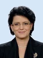 Anca Boagiu STRUCTURA PARLAMENTULUI ROMNIEI 20082012