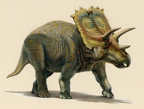 Anchiceratops Anchiceratops Dinosaur Gallery posters Dinosaurs Extinction